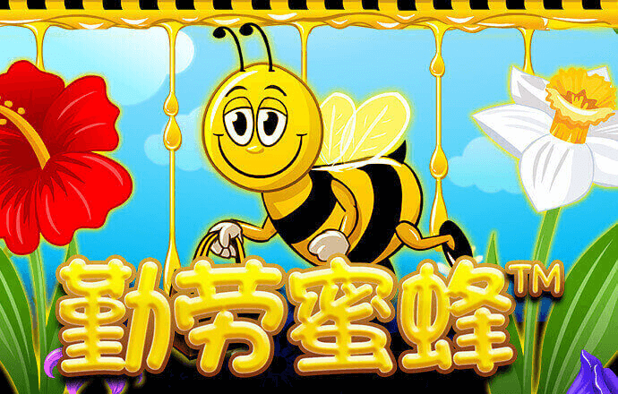金贝体育官方网站